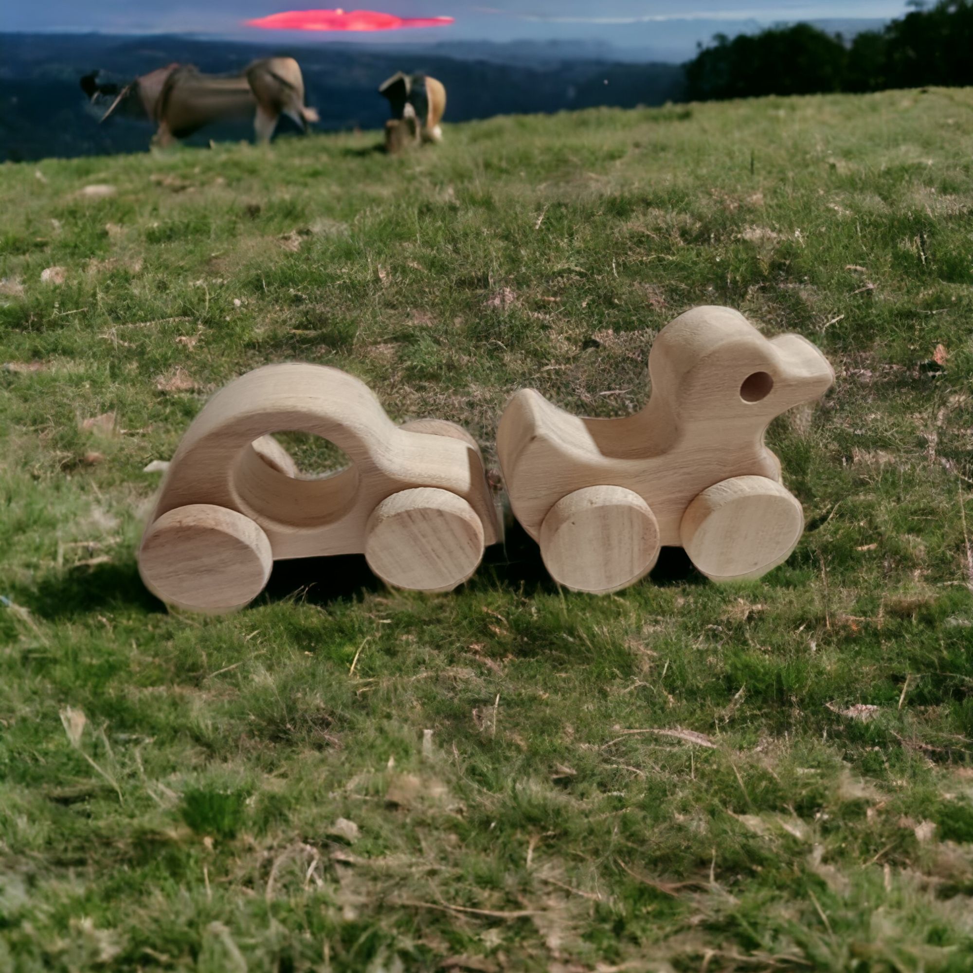 Pack of 2 Neem Wooden Wheel Toys - Car & Duck Shapes - Image 4