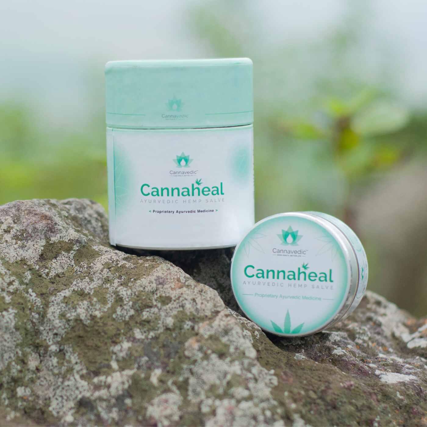 Cannaheal – Skin Infection Cream - Image 2